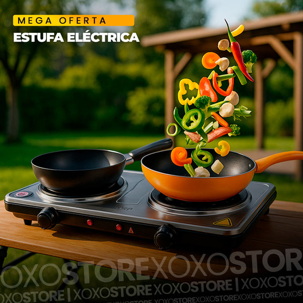 Estufa electrica 2 puestos